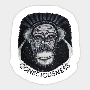 Conciousness Sticker